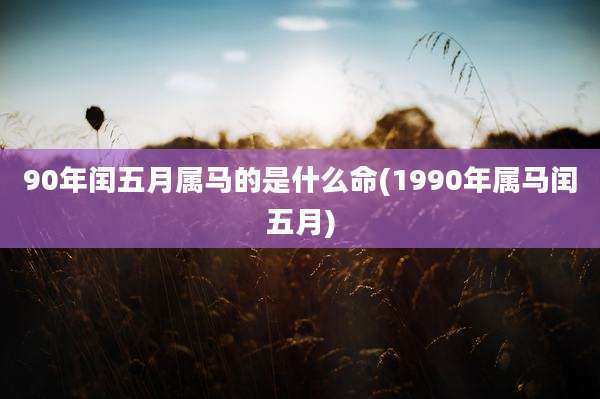 90年闰五月属马的是什么命(1990年属马闰五月)