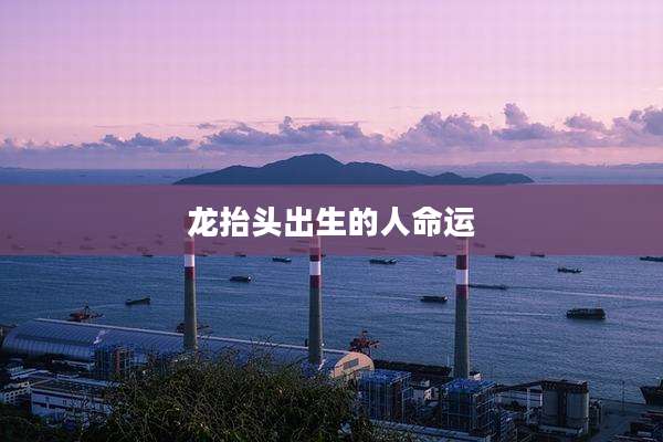 龙抬头出生的人命运