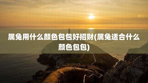属兔用什么颜色包包好招财(属兔适合什么颜色包包)