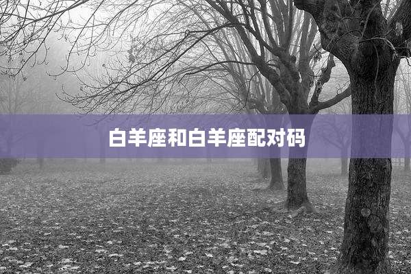 白羊座和白羊座配对码