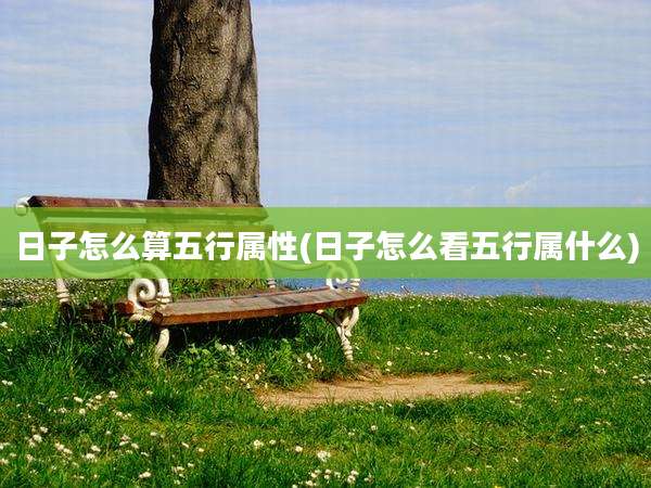 日子怎么算五行属性(日子怎么看五行属什么)