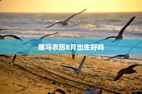 属马农历8月出生好吗