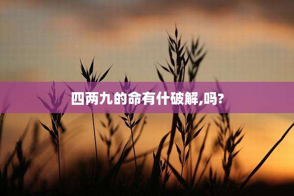 四两九的命有什破解,吗?