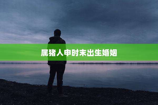 属猪人申时末出生婚姻