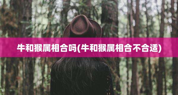 牛和猴属相合吗(牛和猴属相合不合适)