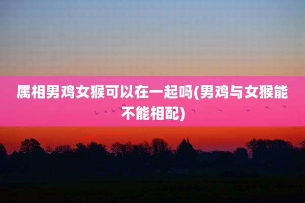 属相男鸡女猴可以在一起吗(男鸡与女猴能不能相配)