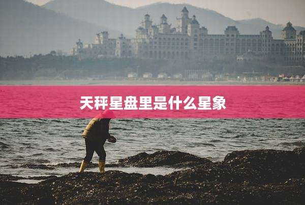 天秤星盘里是什么星象
