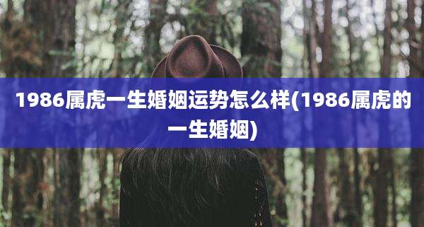 1986属虎一生婚姻运势怎么样(1986属虎的一生婚姻)
