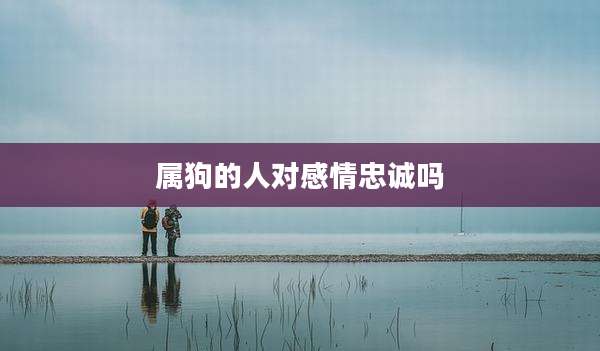 属狗的人对感情忠诚吗