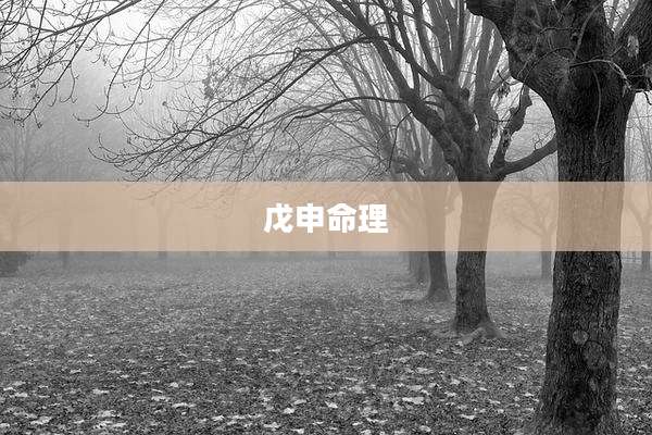 戊申命理
