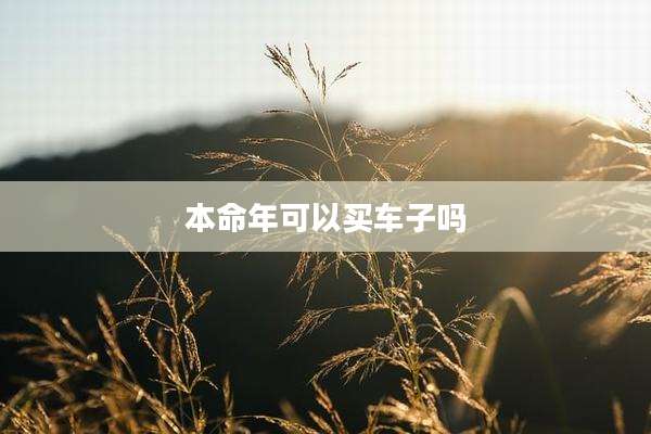 本命年可以买车子吗