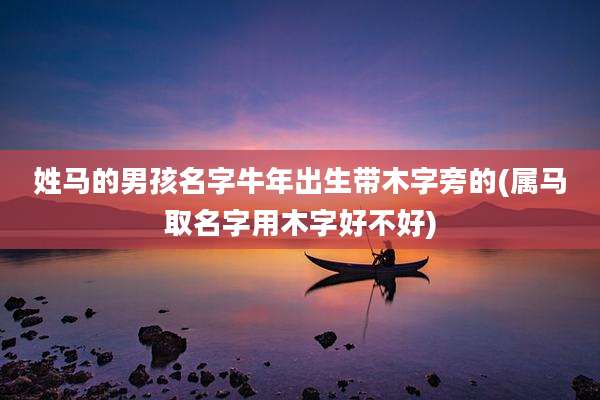 姓马的男孩名字牛年出生带木字旁的(属马取名字用木字好不好)