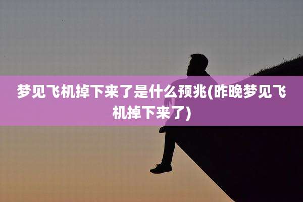梦见飞机掉下来了是什么预兆(昨晚梦见飞机掉下来了)