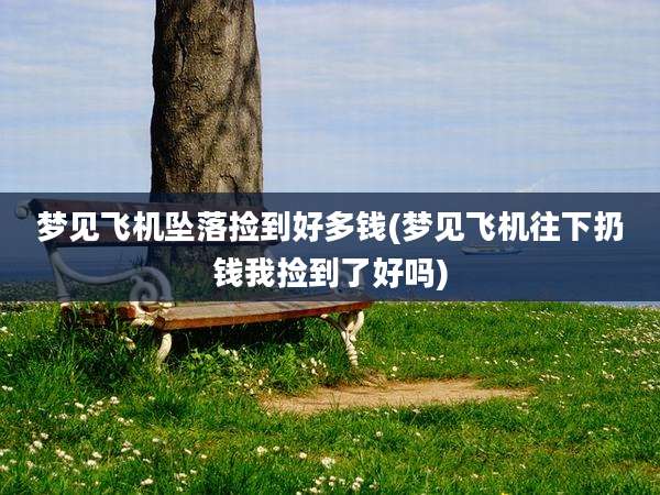 梦见飞机坠落捡到好多钱(梦见飞机往下扔钱我捡到了好吗)