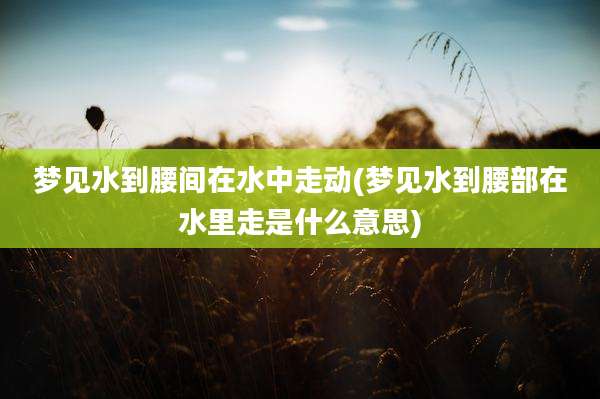 梦见水到腰间在水中走动(梦见水到腰部在水里走是什么意思)