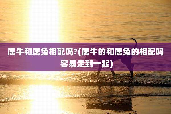 属牛和属兔相配吗?(属牛的和属兔的相配吗 容易走到一起)