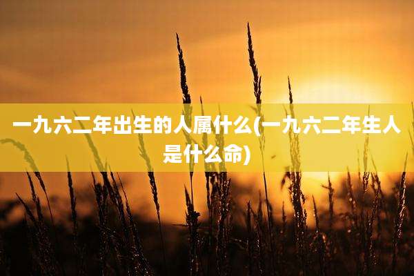 一九六二年出生的人属什么(一九六二年生人是什么命)