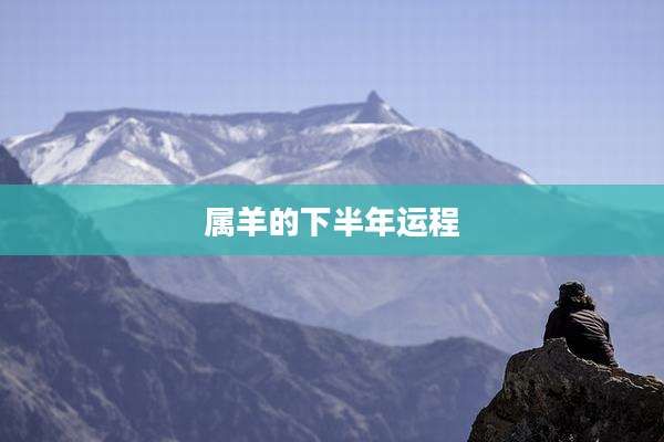 属羊的下半年运程