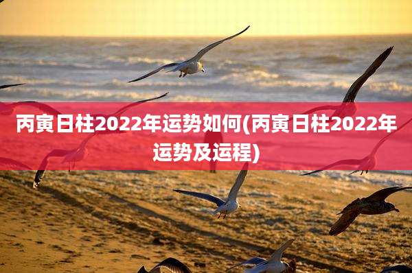 丙寅日柱2022年运势如何(丙寅日柱2022年运势及运程)