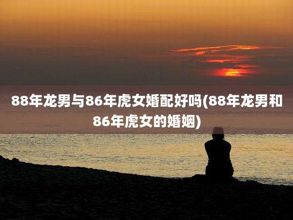 88年龙男与86年虎女婚配好吗(88年龙男和86年虎女的婚姻)