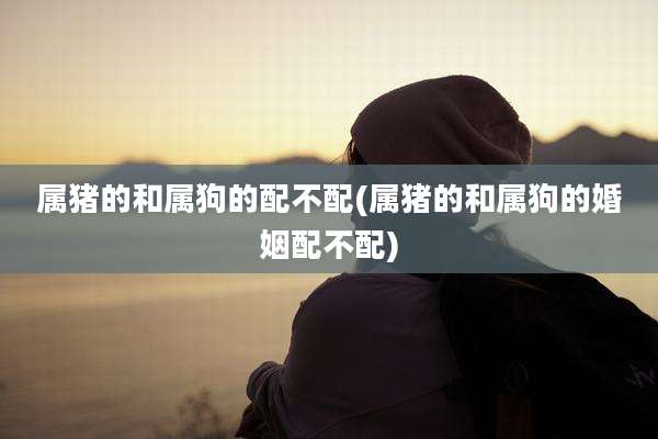 属猪的和属狗的配不配(属猪的和属狗的婚姻配不配)
