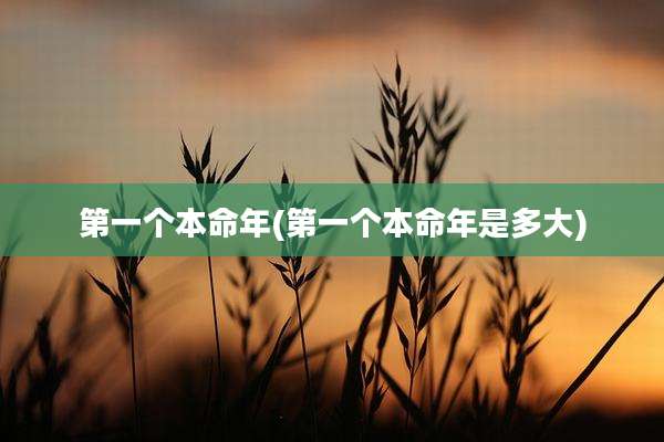 第一个本命年(第一个本命年是多大)
