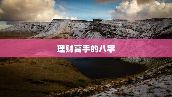 理财高手的八字