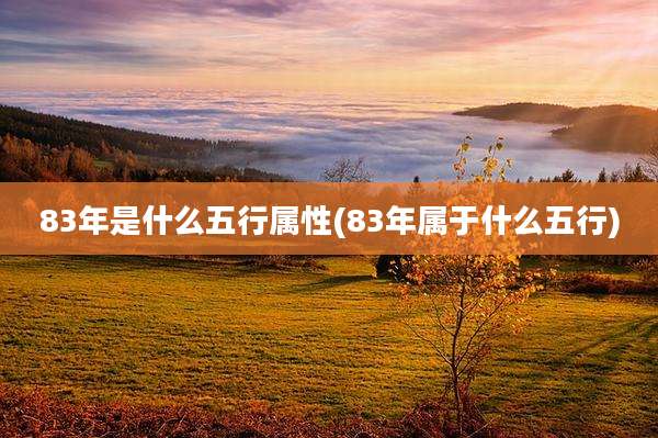 83年是什么五行属性(83年属于什么五行)