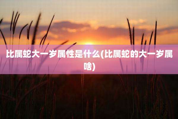 比属蛇大一岁属性是什么(比属蛇的大一岁属啥)