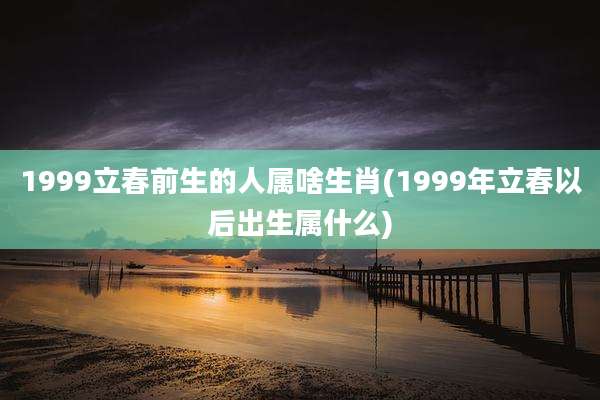 1999立春前生的人属啥生肖(1999年立春以后出生属什么)