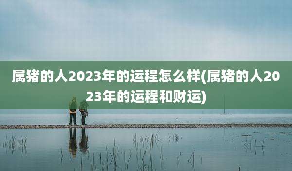 属猪的人2023年的运程怎么样(属猪的人2023年的运程和财运)
