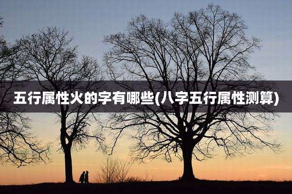 五行属性火的字有哪些(八字五行属性测算)