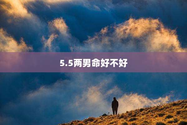 5.5两男命好不好