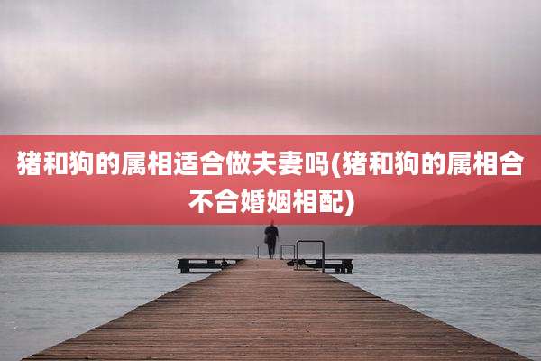 猪和狗的属相适合做夫妻吗(猪和狗的属相合不合婚姻相配)