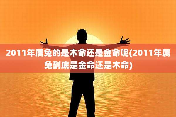 2011年属兔的是木命还是金命呢(2011年属兔到底是金命还是木命)
