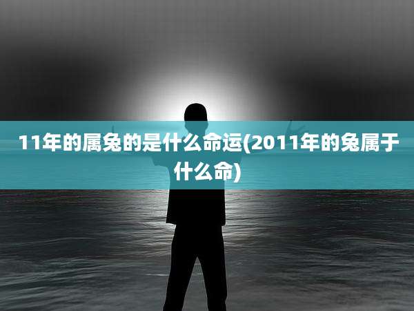 11年的属兔的是什么命运(2011年的兔属于什么命)
