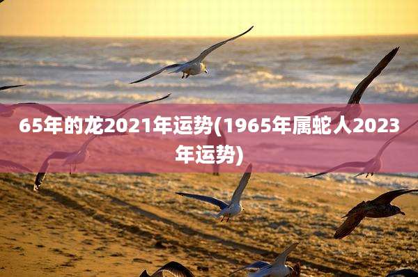 65年的龙2021年运势(1965年属蛇人2023年运势)