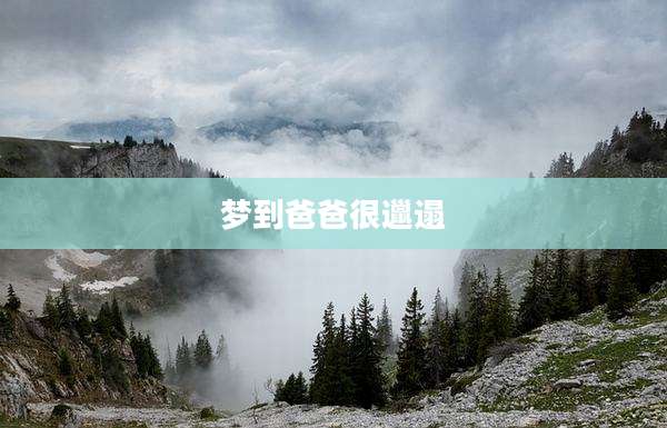 梦到爸爸很邋遢