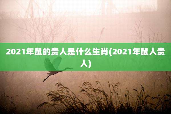 2021年鼠的贵人是什么生肖(2021年鼠人贵人)