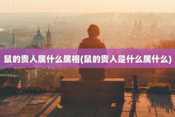 鼠的贵人属什么属相(鼠的贵人是什么属什么)