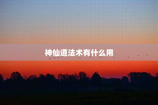 神仙道法术有什么用