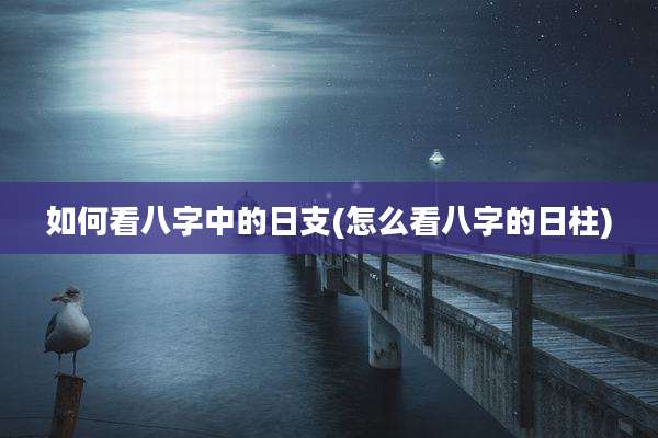 如何看八字中的日支(怎么看八字的日柱)