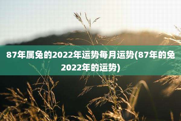 87年属兔的2022年运势每月运势(87年的兔2022年的运势)