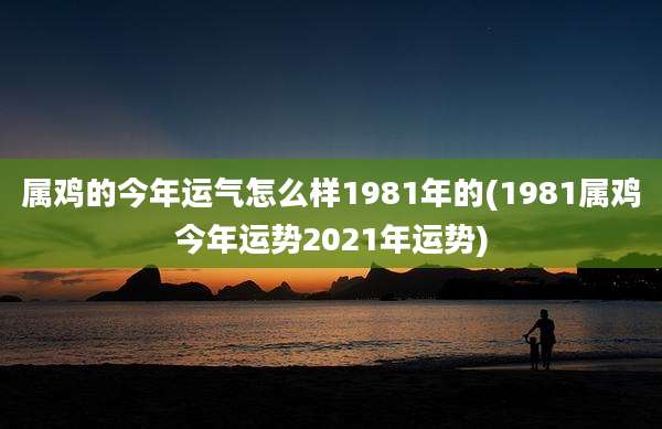 属鸡的今年运气怎么样1981年的(1981属鸡今年运势2021年运势)