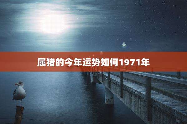属猪的今年运势如何1971年