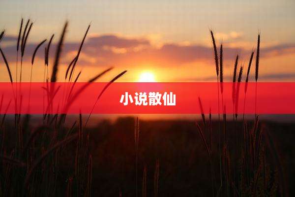小说散仙