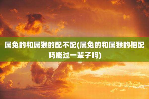 属兔的和属猴的配不配(属兔的和属猴的相配吗能过一辈子吗)