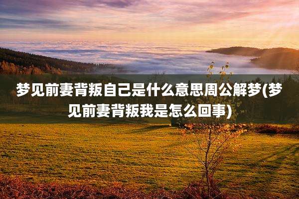 梦见前妻背叛自己是什么意思周公解梦(梦见前妻背叛我是怎么回事)