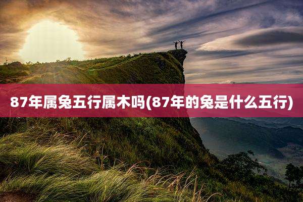 87年属兔五行属木吗(87年的兔是什么五行)