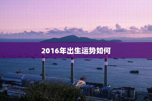 2016年出生运势如何
